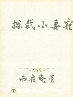 总裁小妻宠上天