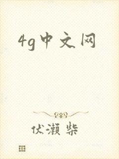 4g中文网