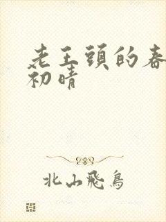 老王头的春天林初晴