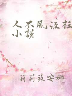 人不风流枉少年小说