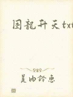 困龙升天txt