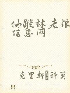 仙踪林老狼贰佰信息网