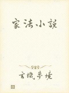 家法小说