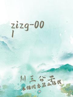 zizg-001