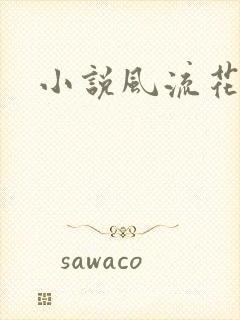 小说风流花少