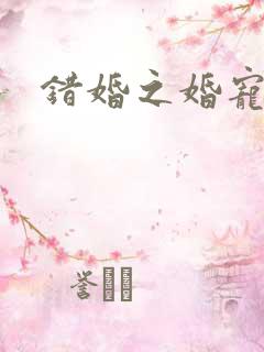 错婚之婚宠一世