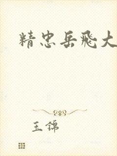 精忠岳飞大结局