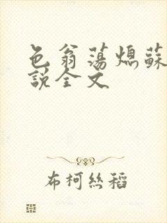 色翁荡熄苏钥小说全文