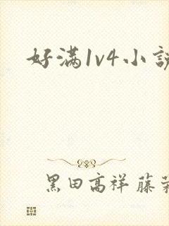 好满1v4小说