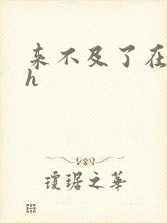 来不及了在车ch