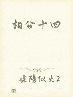 相公十四