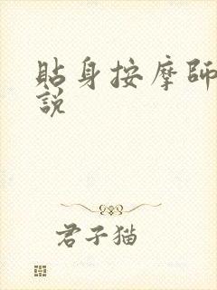 贴身按摩师 小说