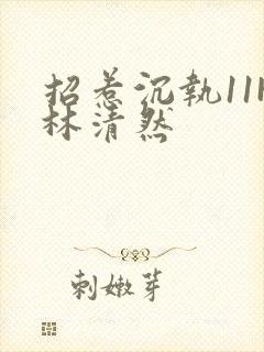 招惹沉执11H林清然