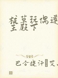 校草玩偶遵命公主殿下