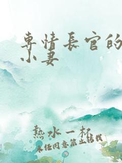 专情长官的天价小妻