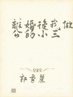 离婚后我做了老公的小三