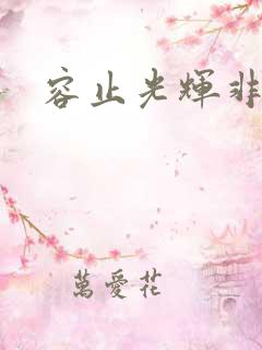 容止光辉非世人