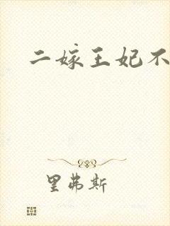 二嫁王妃不好惹