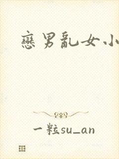 恋男乱女小说