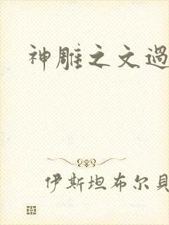 神雕之文过饰非