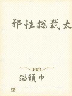 邪性总裁太难缠