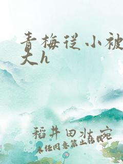 青梅从小被弄到大h