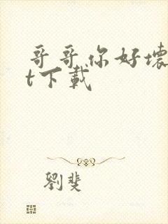 哥哥你好坏txt下载