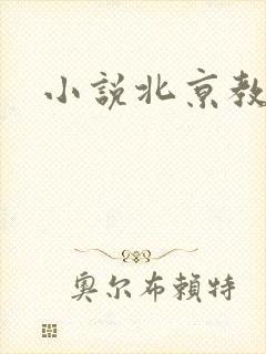 小说北京教父