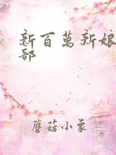 新百万新娘第二部