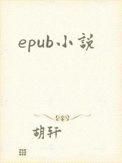 epub小说