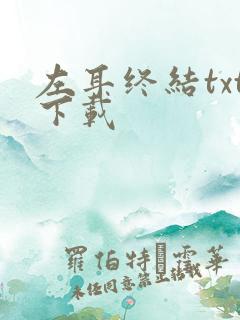 左耳终结txt下载