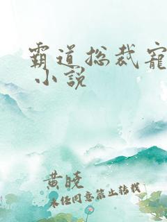 霸道总裁宠上天 小说