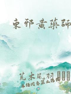 东邪黄药师本纪