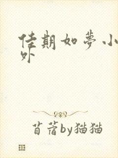 佳期如梦小说番外