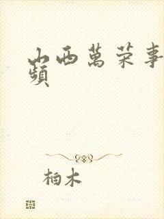 山西万荣事件视频