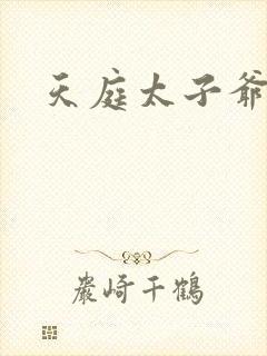 天庭太子爷