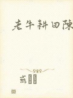 老牛耕田陈雪