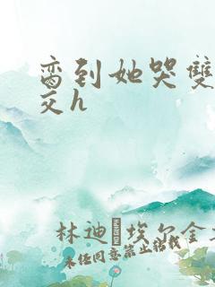 脔到她哭双根宫交h