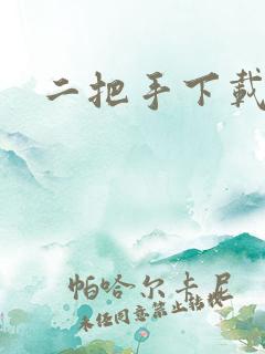 二把手下载