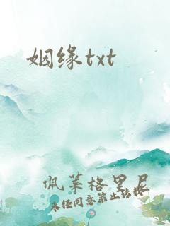 姻缘txt