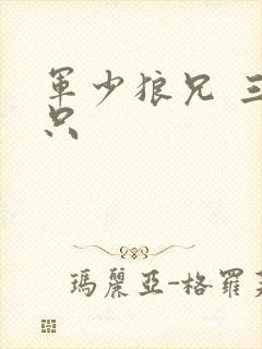 军少狼兄 三两只