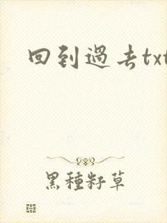 回到过去txt