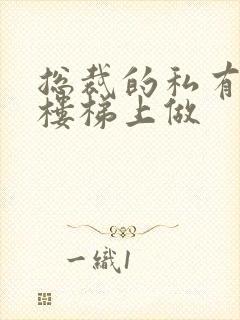 总裁的私有宝贝楼梯上做