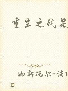 重生之我是战机