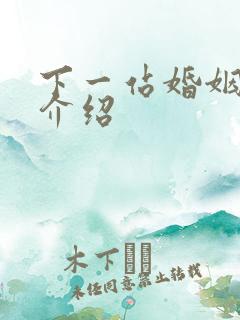 下一站婚姻剧情介绍