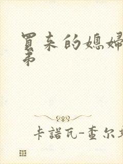 买来的媳妇四兄弟