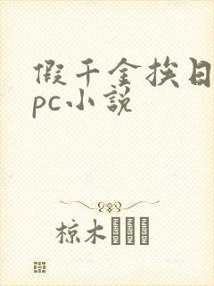假千金挨日记npc小说