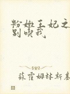 粉嫩王妃之殿下别吃我