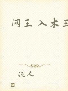 网王 入木三分