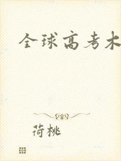 全球高考木苏里